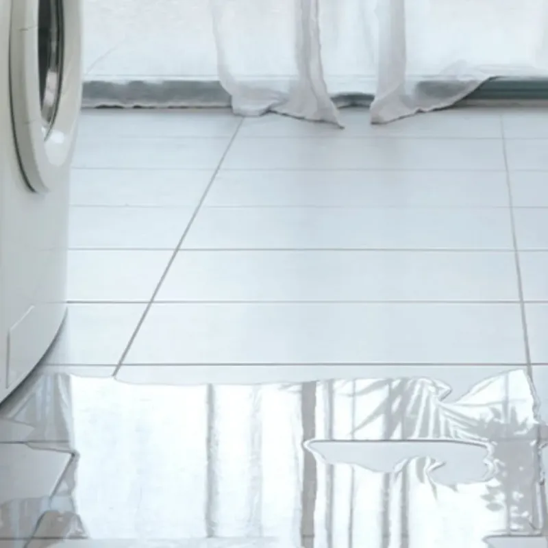 Appliance Leak Cleanup in Fairbury, IL