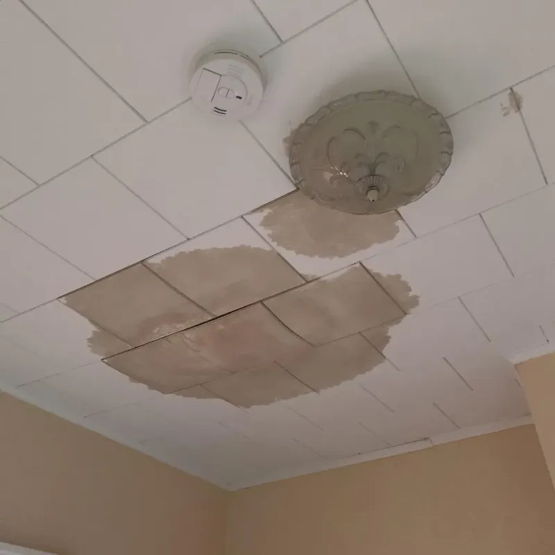 Ceiling Water Damage Repair in Fairbury, IL