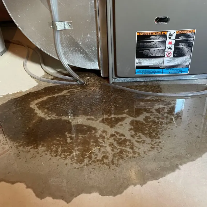 Pipe Burst and Leak Restoration in Fairbury, IL