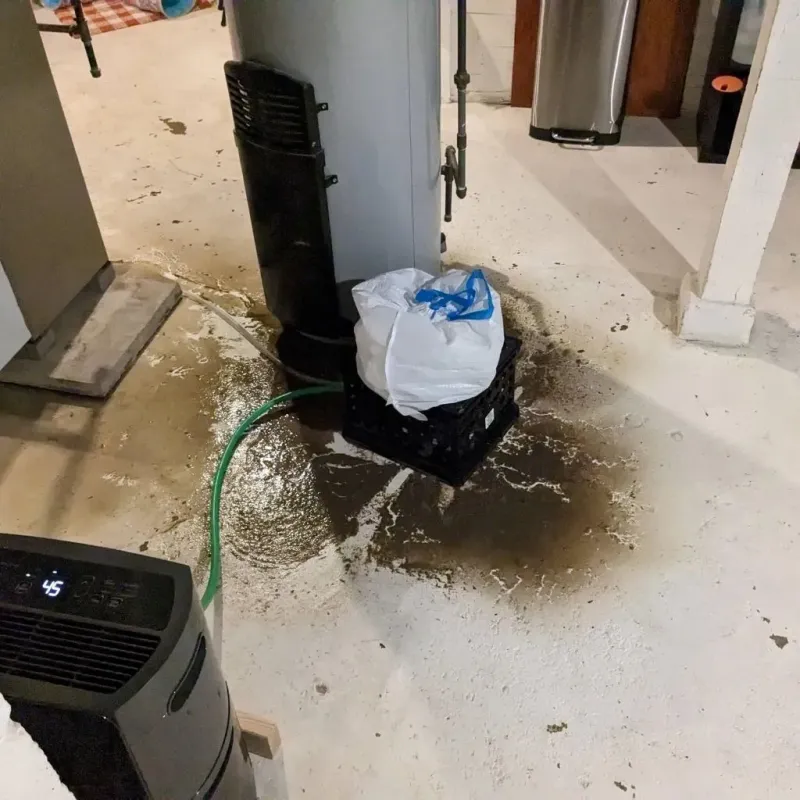 Sewage Backup Cleanup Service in Fairbury, IL
